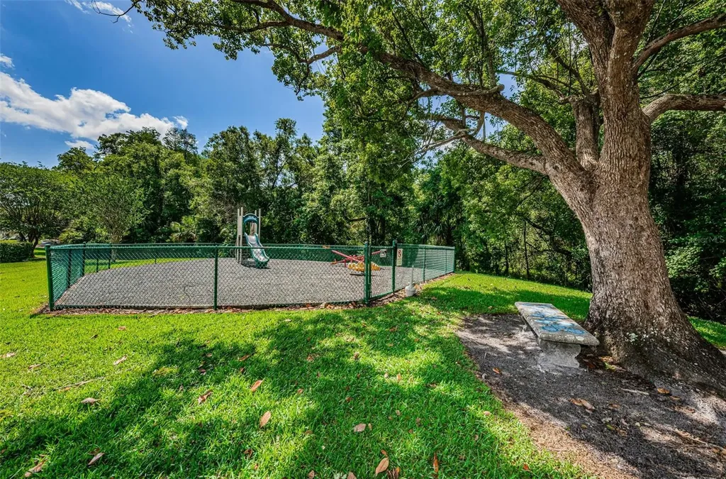 1333 Shady Pine Way Tarpon Springs FL 34688