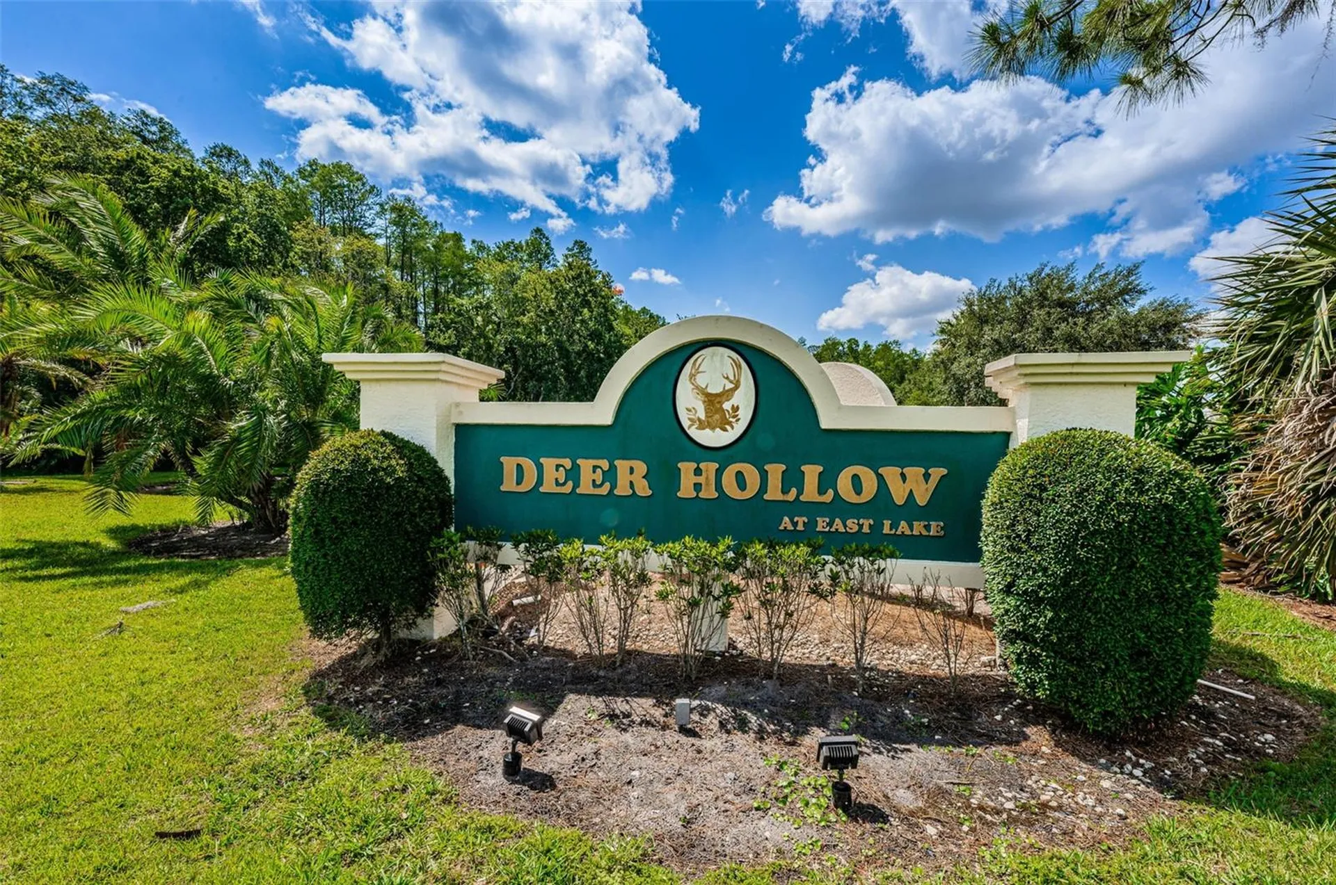 1333 Shady Pine Way Tarpon Springs FL 34688
