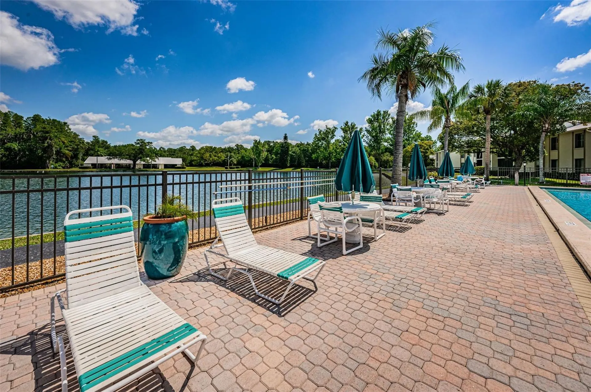 1333 Shady Pine Way Tarpon Springs FL 34688