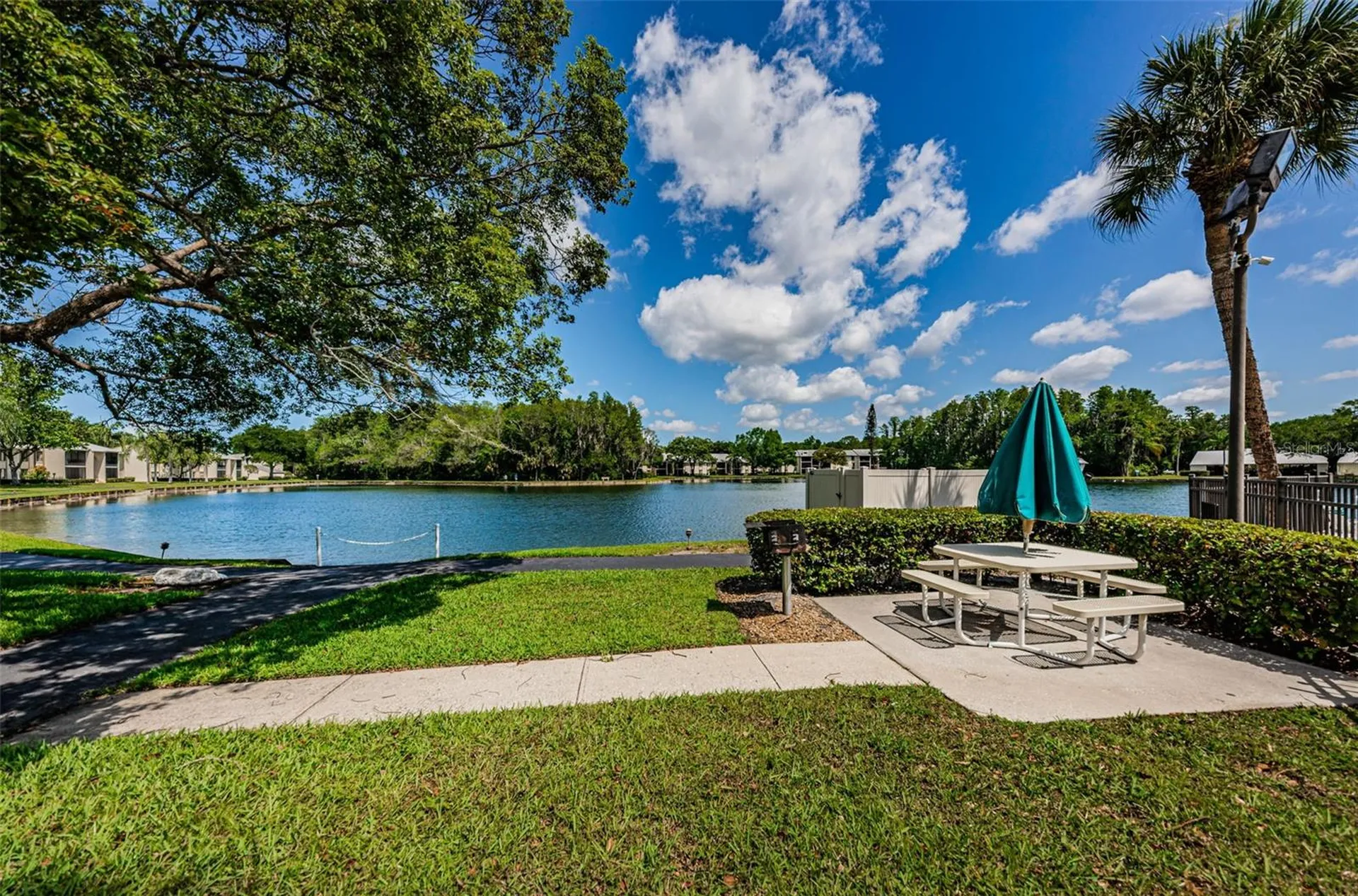 1333 Shady Pine Way Tarpon Springs FL 34688
