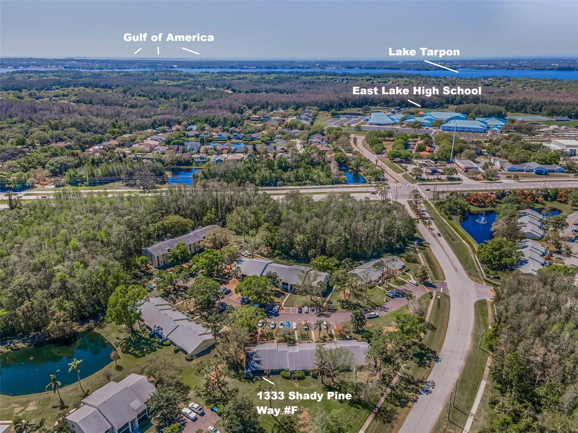 1333 Shady Pine Way Tarpon Springs FL 34688
