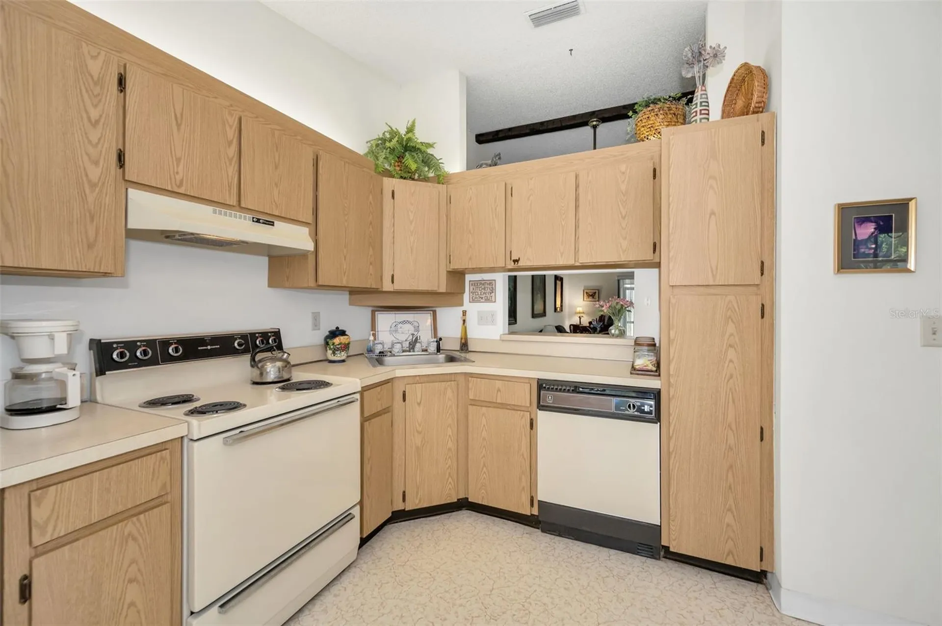 1333 Shady Pine Way Tarpon Springs FL 34688