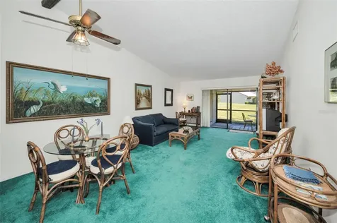 1333 Shady Pine Way Tarpon Springs FL 34688