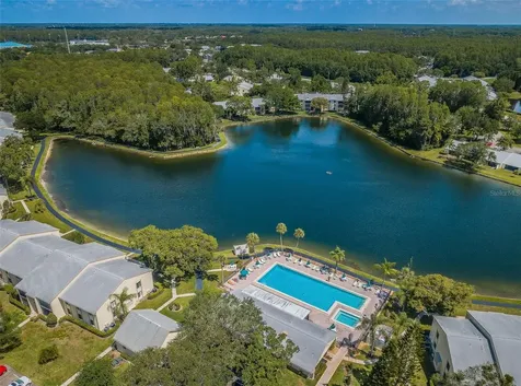 1333 Shady Pine Way Tarpon Springs FL 34688