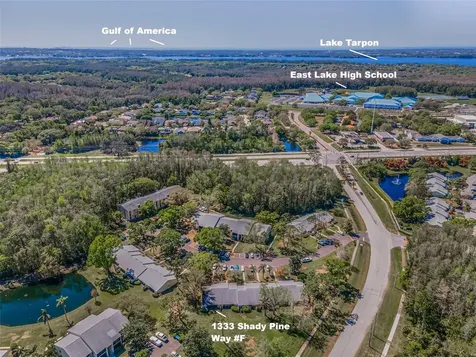 1333 Shady Pine Way Tarpon Springs FL 34688
