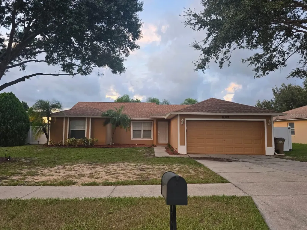 13303 Pinyon Drive Clermont FL 34711