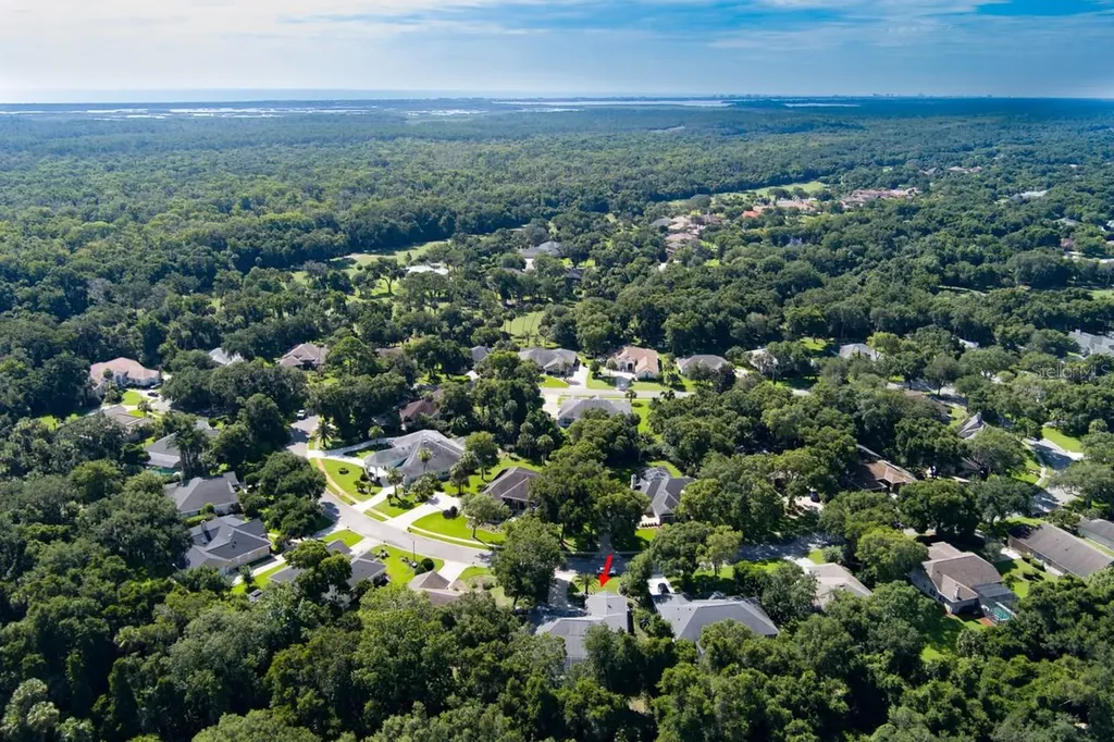 1321 Wicklow Lane Ormond Beach FL 32174