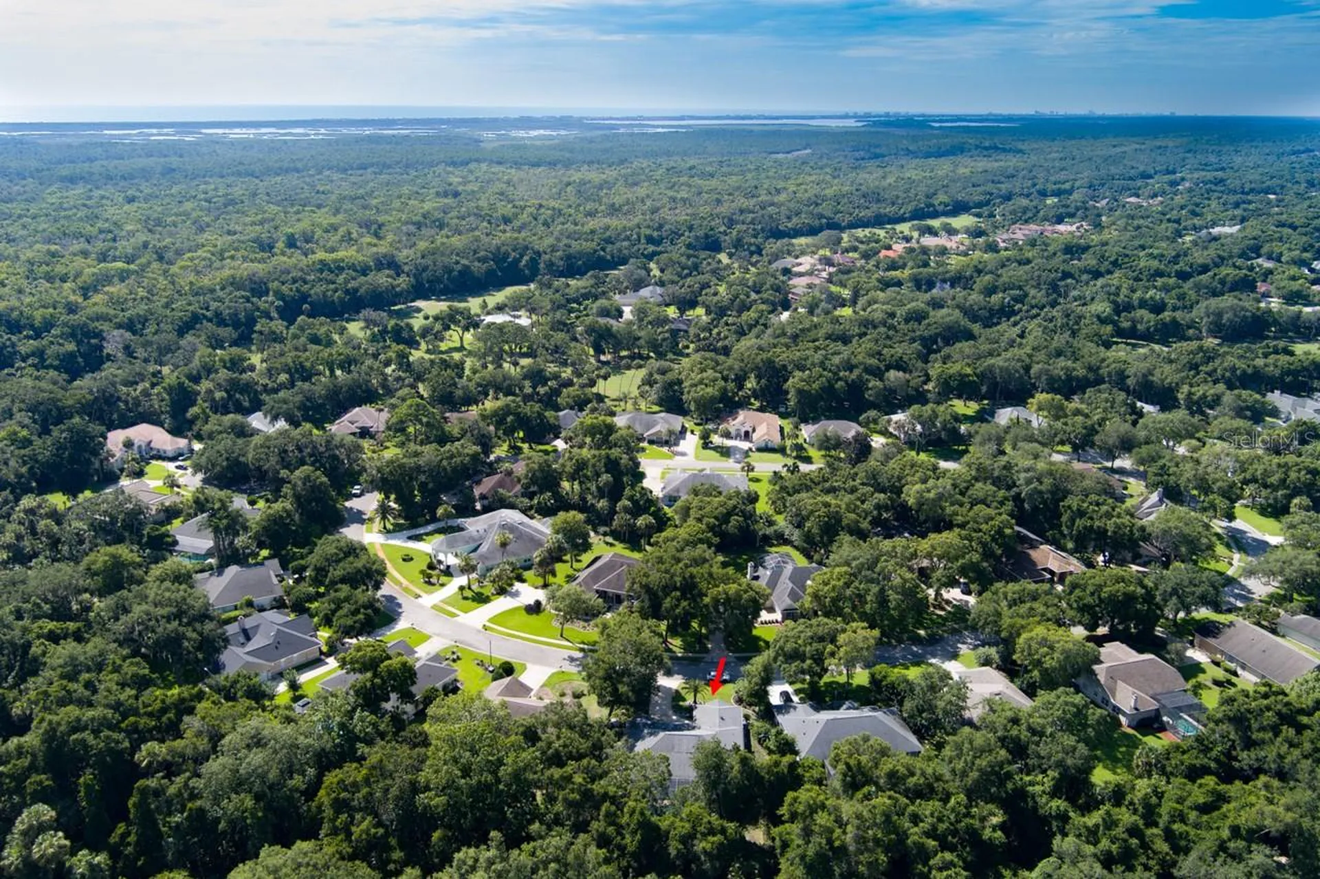 1321 Wicklow Lane Ormond Beach FL 32174