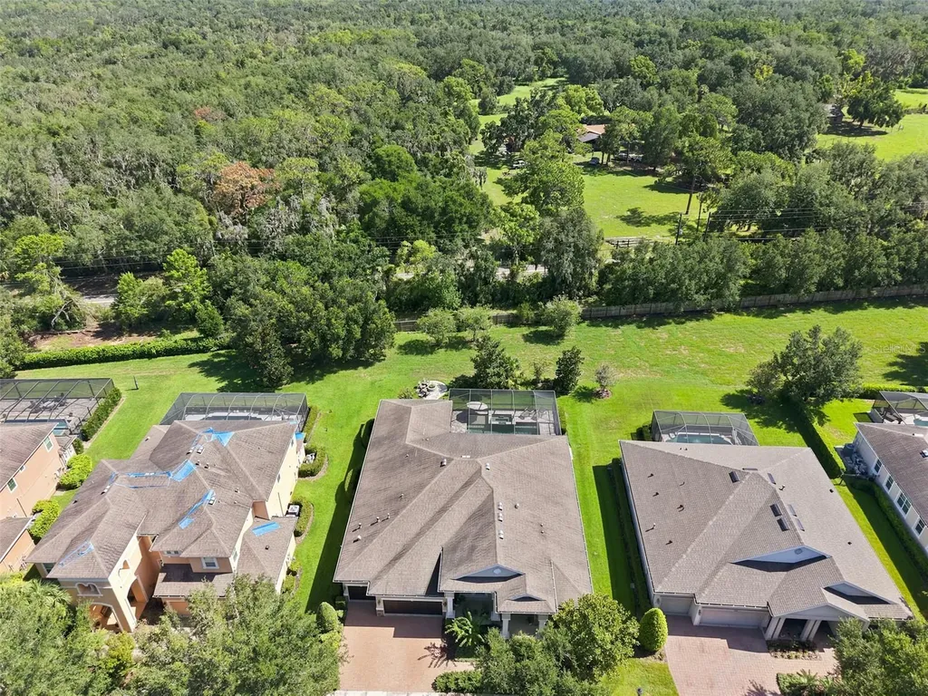 15512 Mossy Ridge Lane Lithia FL 33547