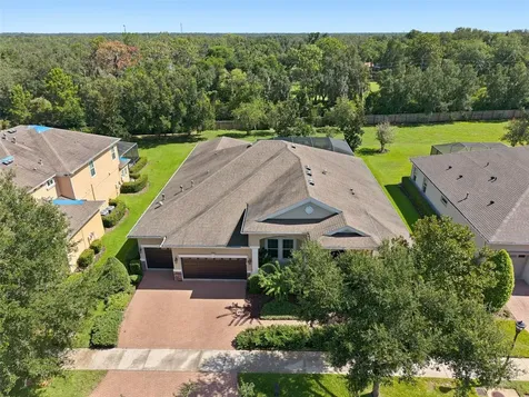 15512 Mossy Ridge Lane Lithia FL 33547