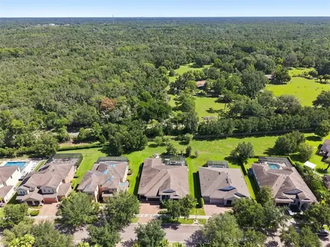 15512 Mossy Ridge Lane Lithia FL 33547