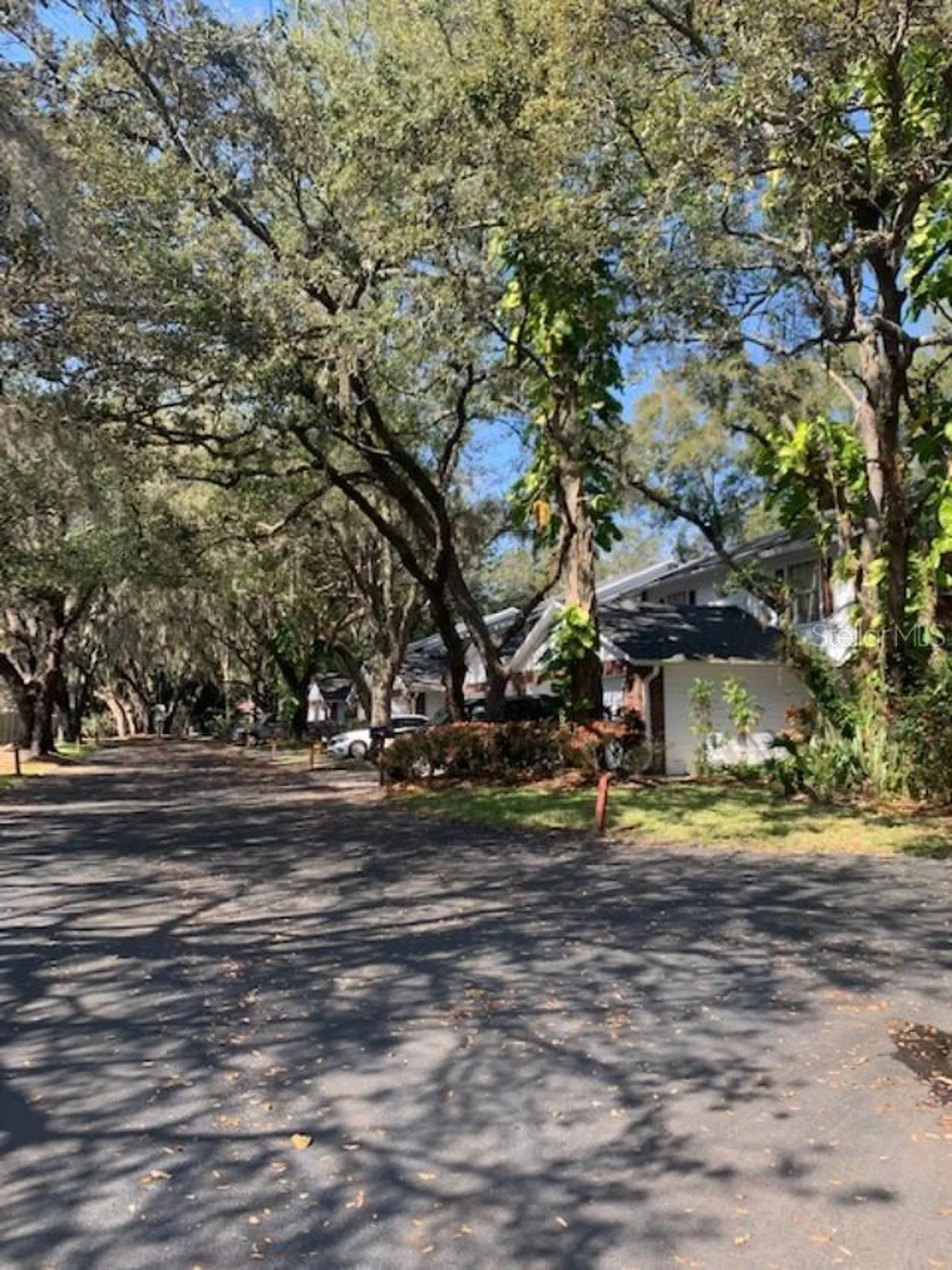 5184 Lazy Oaks Drive Winter Park FL 32792