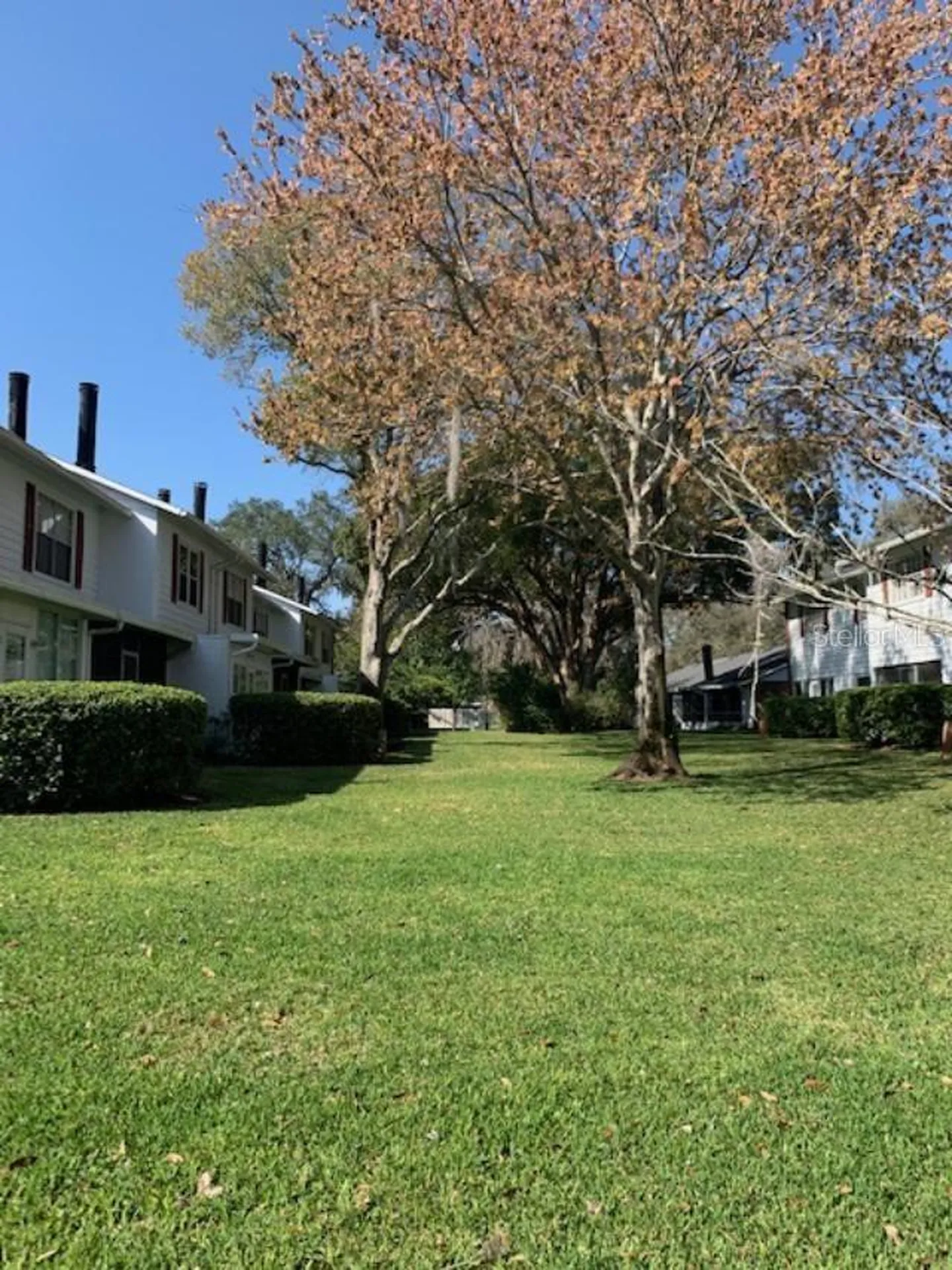 5184 Lazy Oaks Drive Winter Park FL 32792