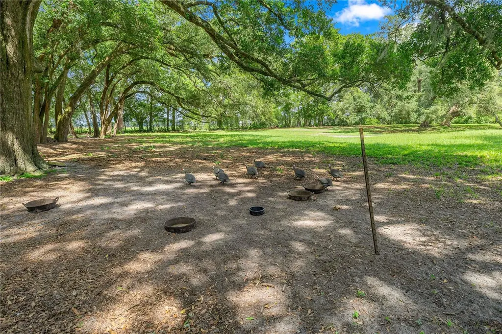 1890 NW 167th Place Trenton FL 32693