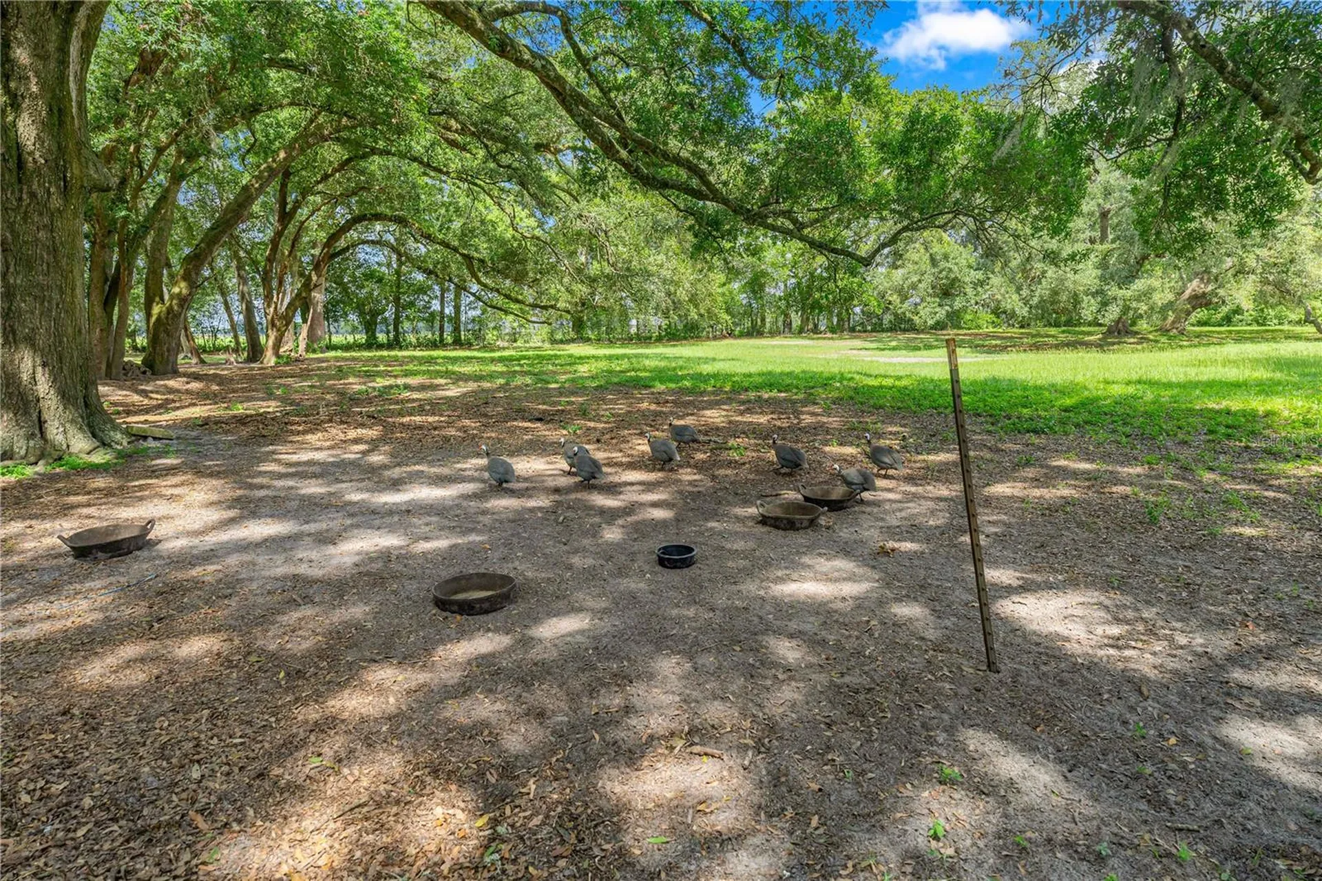 1890 NW 167th Place Trenton FL 32693
