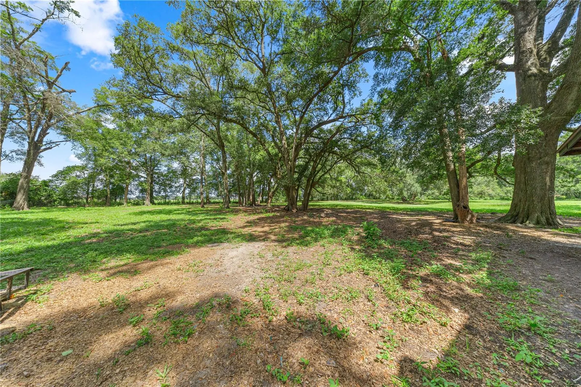 1890 NW 167th Place Trenton FL 32693