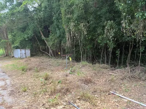 Carr 304 Barrio Jaguitas Ward Hormigueros PR 00660