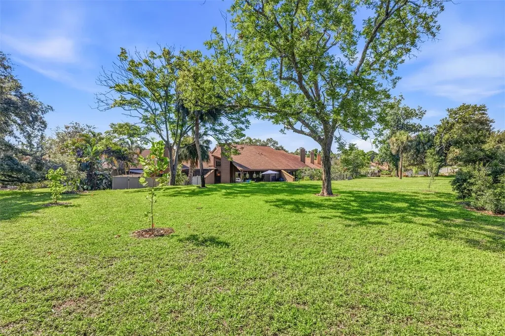 2009 Philippe Court Safety Harbor FL 34695