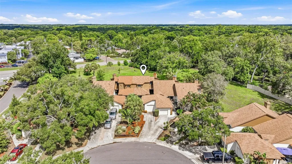 2009 Philippe Court Safety Harbor FL 34695