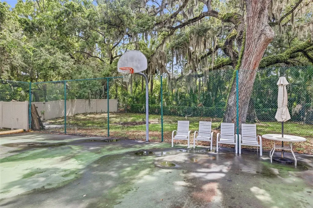 2009 Philippe Court Safety Harbor FL 34695