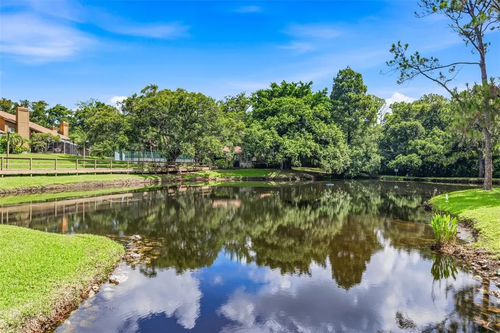 2009 Philippe Court Safety Harbor FL 34695