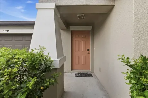 31730 Sun Kettle Loop Wesley Chapel FL 33545