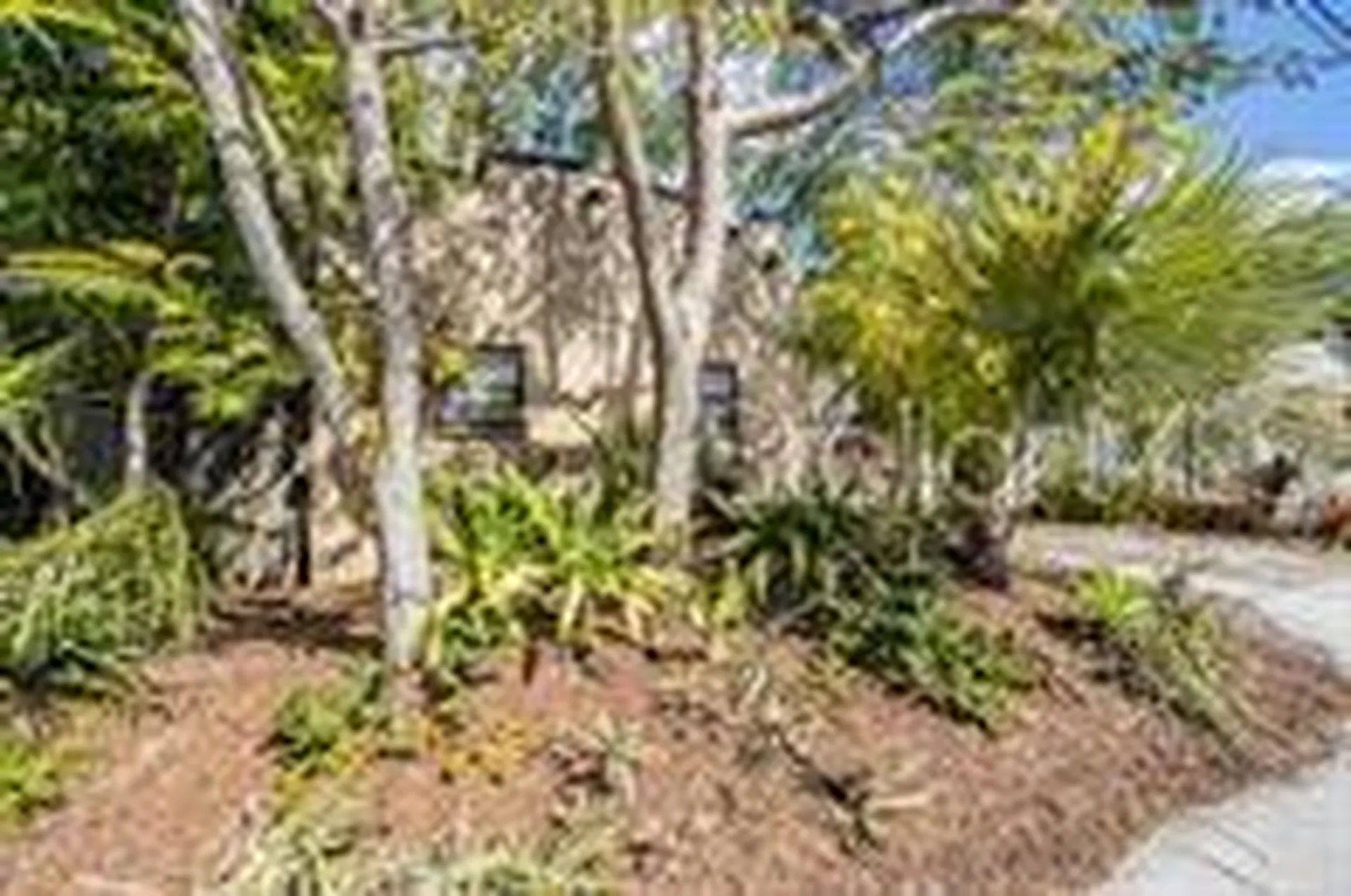 2325 W Green Street Tampa FL 33607
