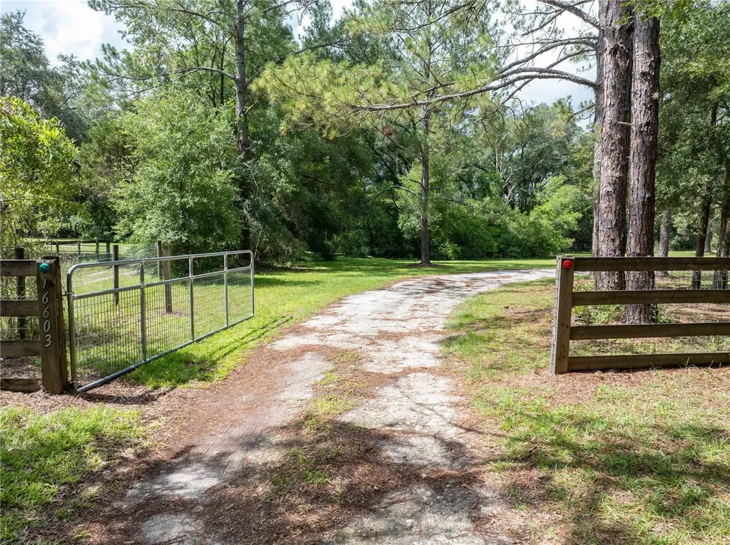 16603 SW 15th Avenue Newberry FL 32669