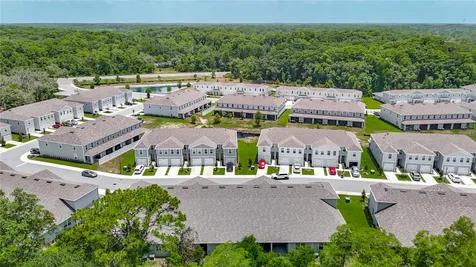 12000 Grizzly Lane New Port Richey FL 34654