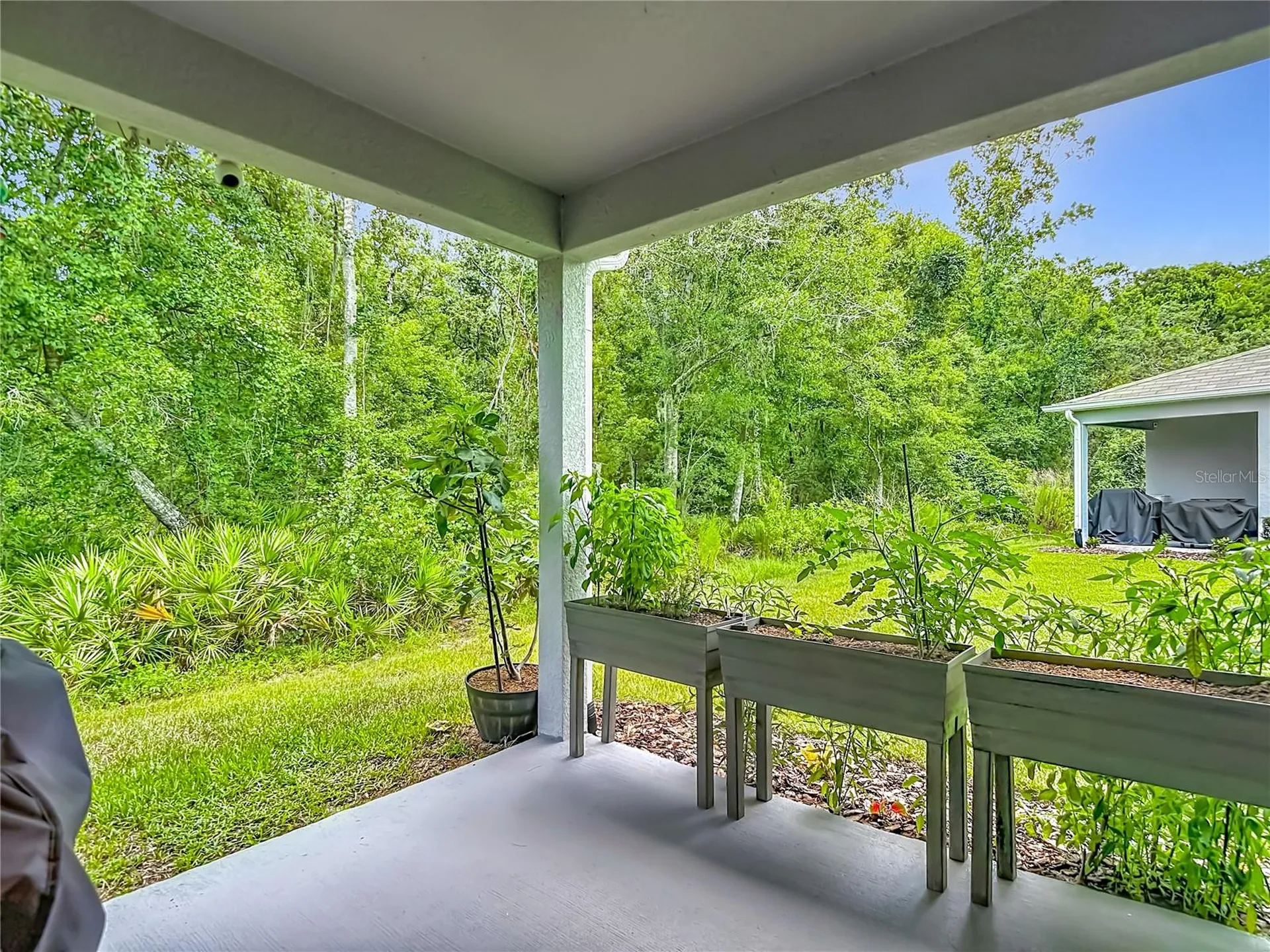 11994 Grizzly Lane New Port Richey FL 34654