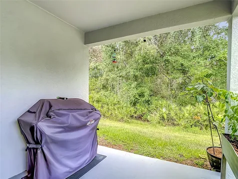 11994 Grizzly Lane New Port Richey FL 34654