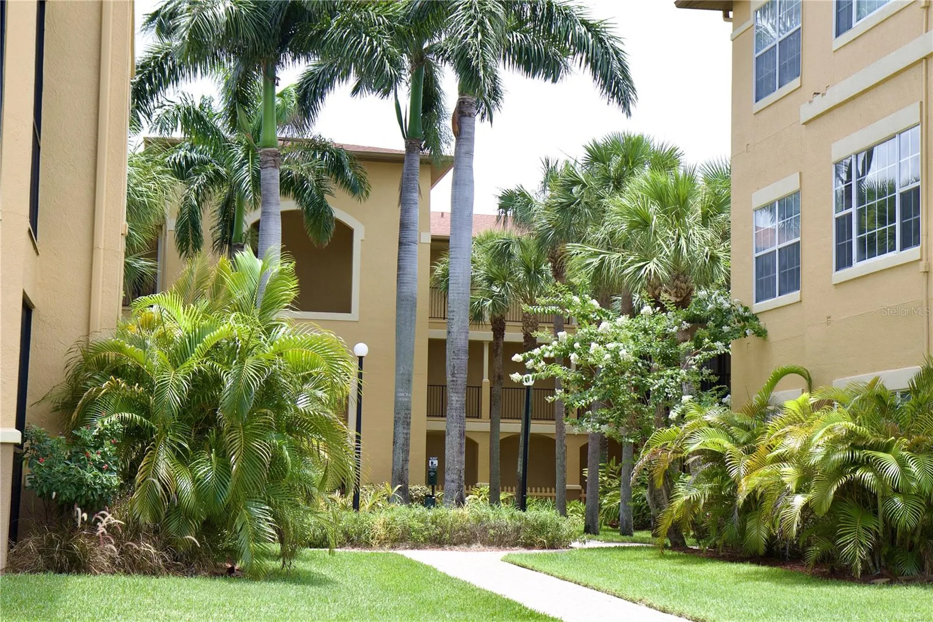 4323 Bayside Village Drive Tampa FL 33615
