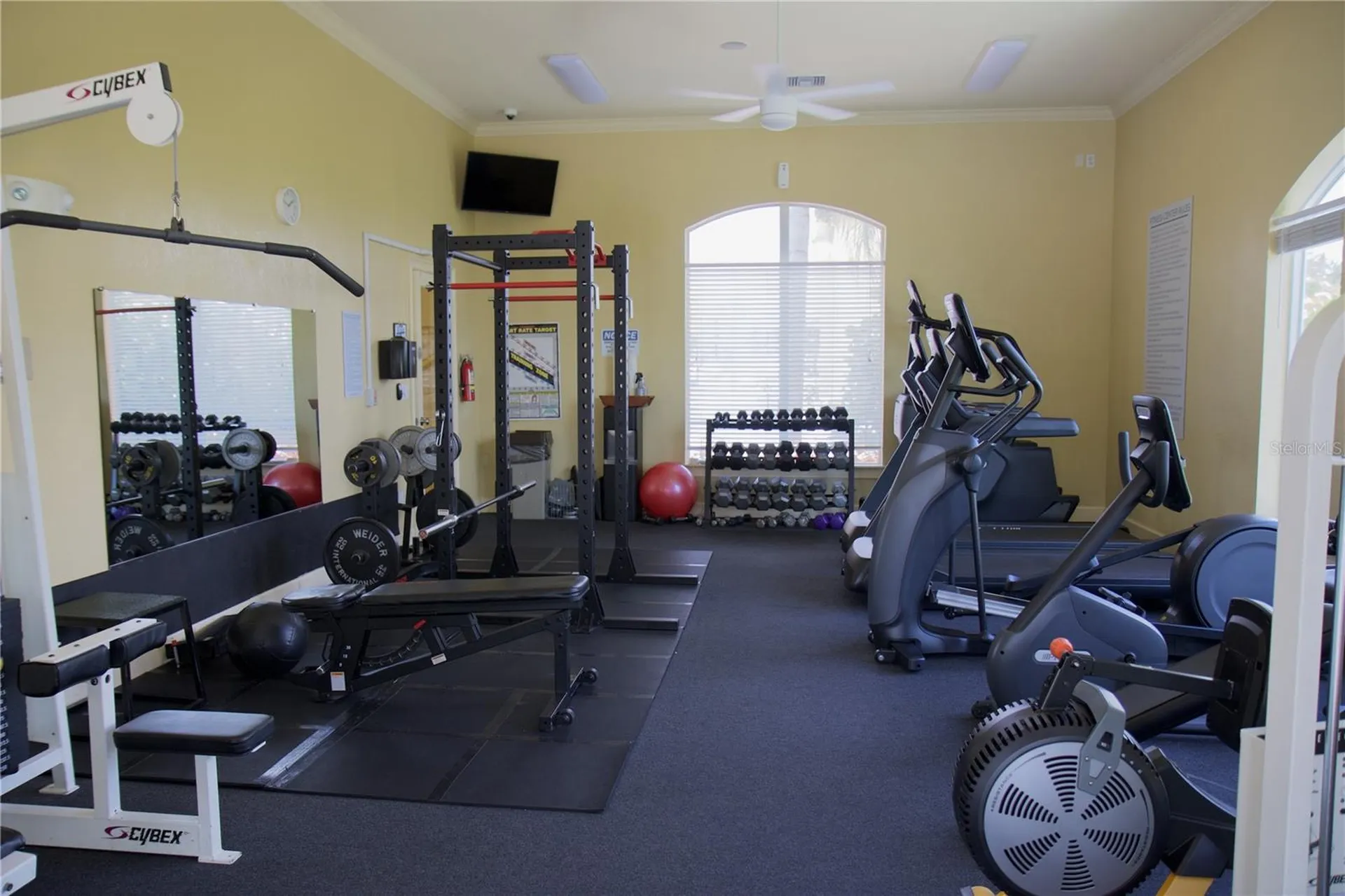 4323 Bayside Village Drive Tampa FL 33615