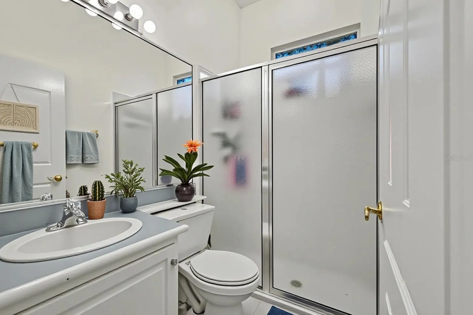 702 Brooker Ridge Court Brandon FL 33511