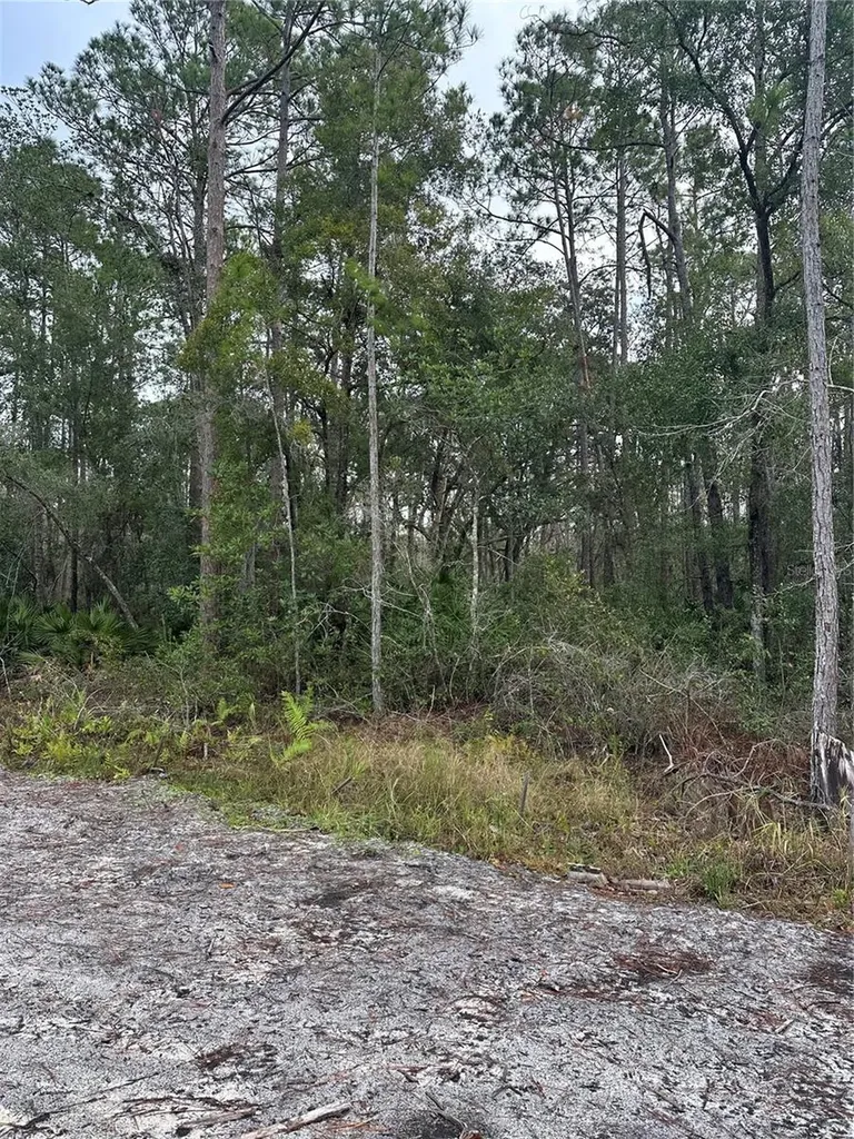 2301 10th Avenue Deland FL 32724