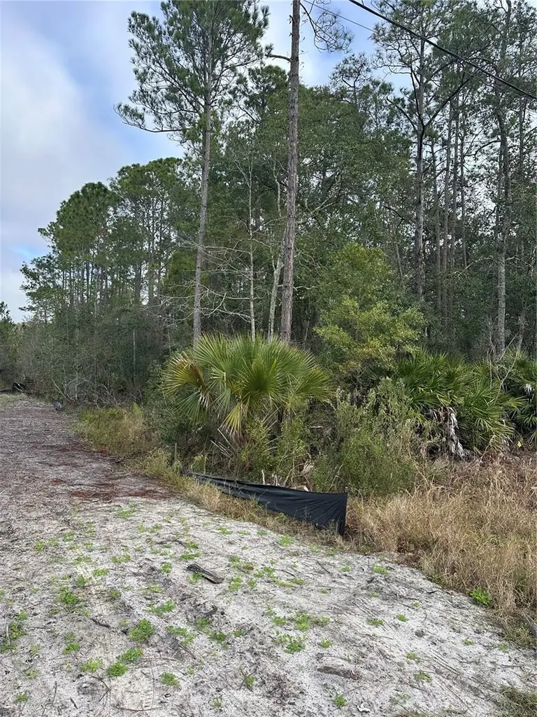 2301 10th Avenue Deland FL 32724