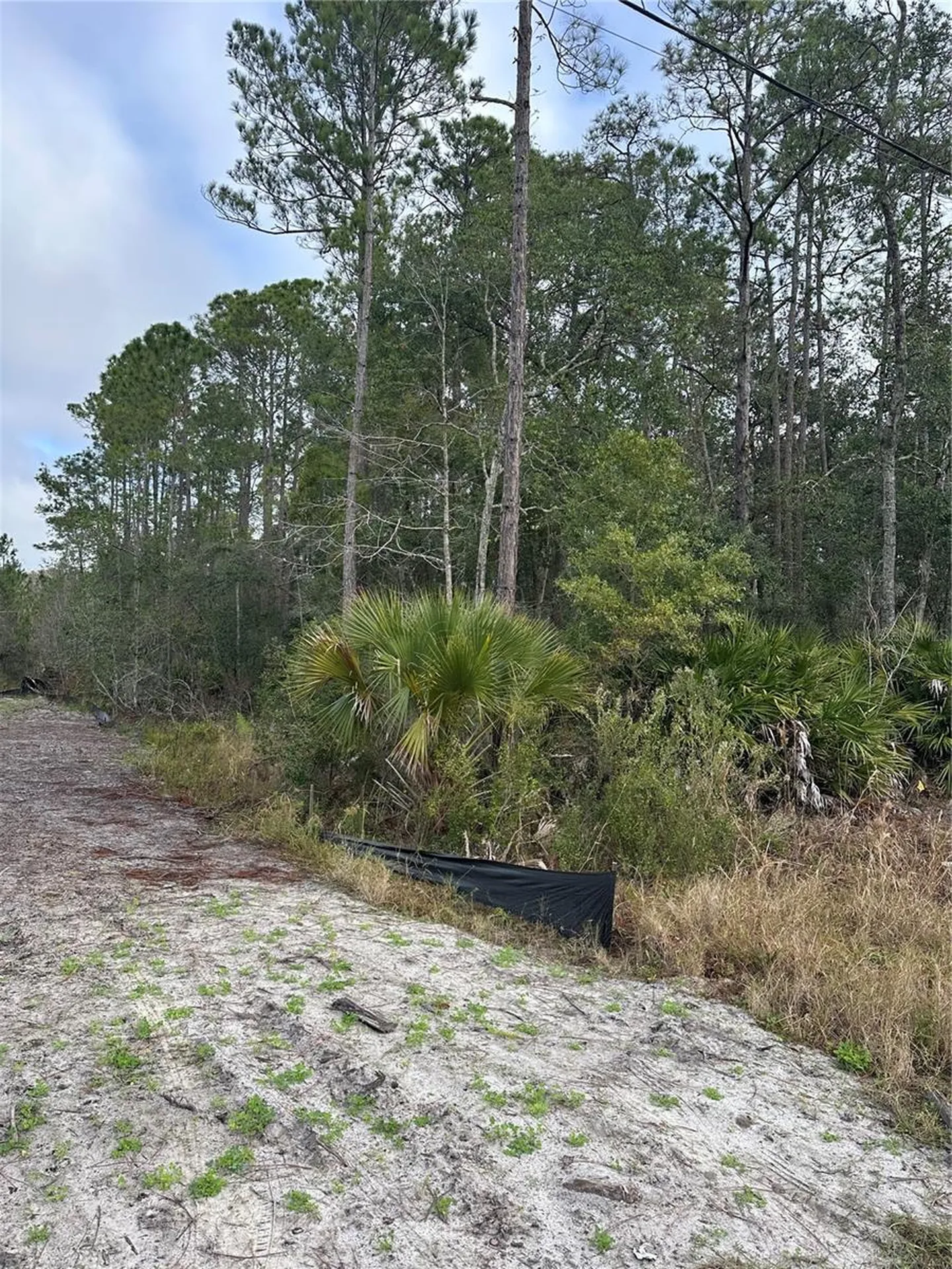 2301 10th Avenue Deland FL 32724