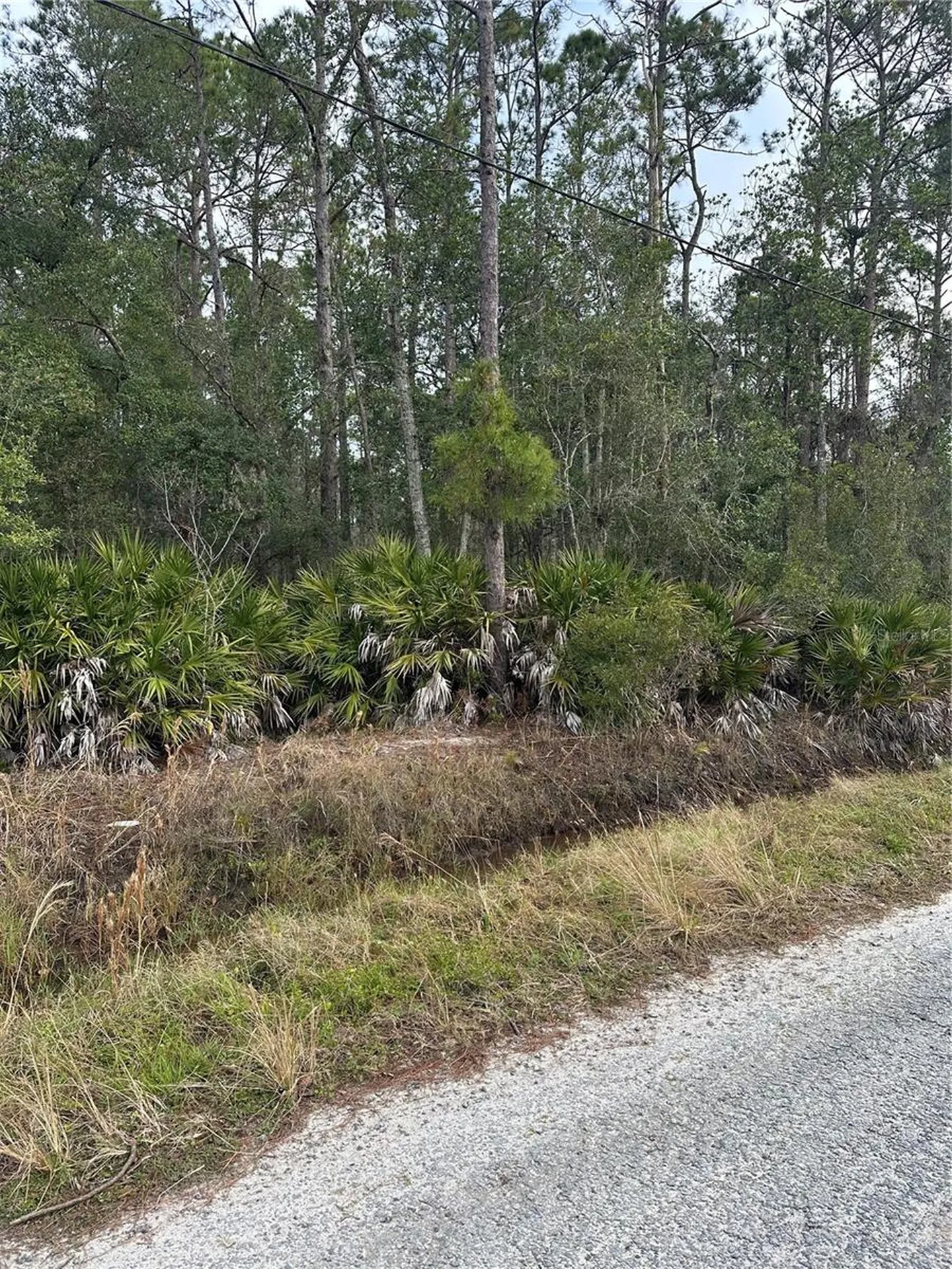 2301 10th Avenue Deland FL 32724