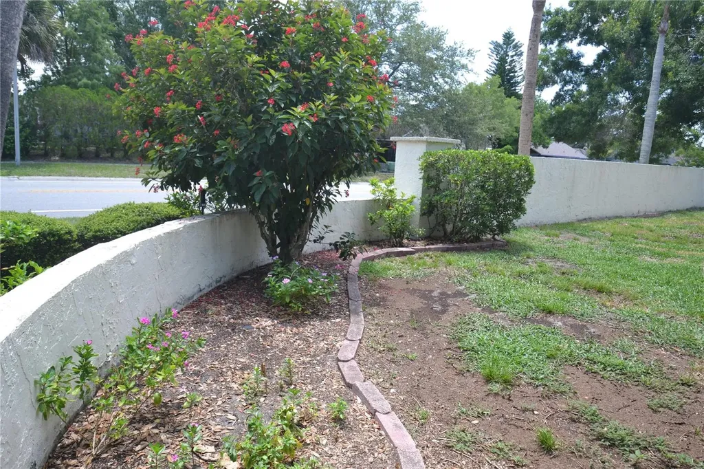 2001 Dover Court Oldsmar FL 34677