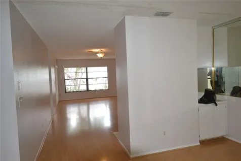 2001 Dover Court Oldsmar FL 34677