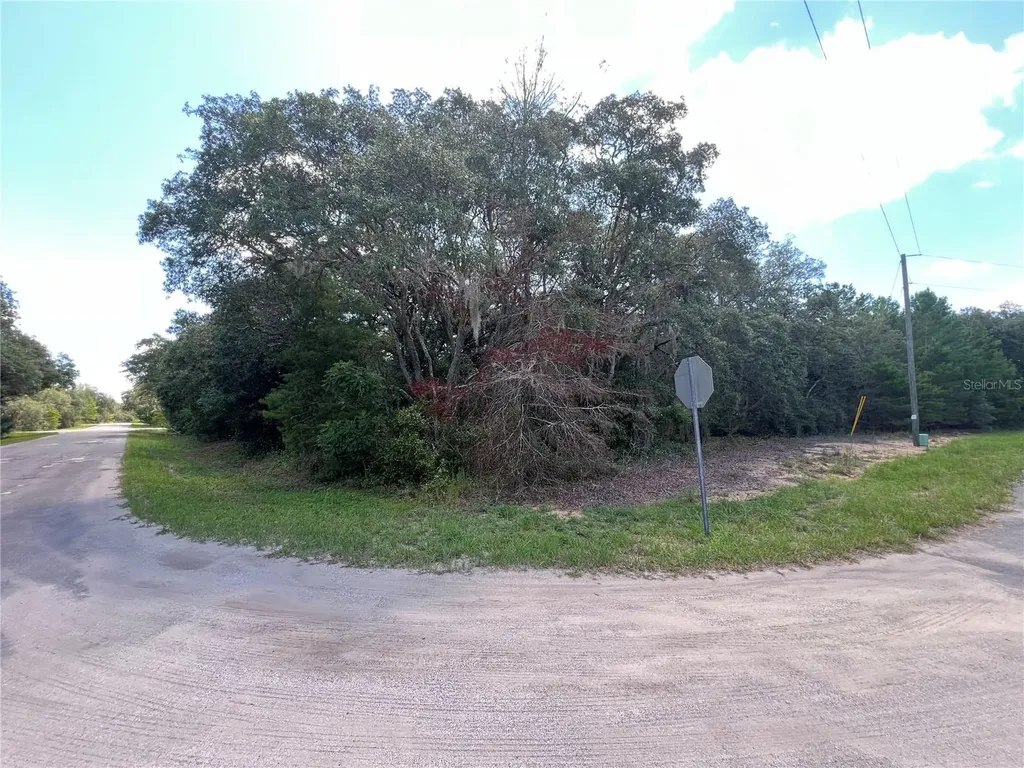 Lot 36 Blk1140 Fisher Way Trail Ocklawaha FL 32179