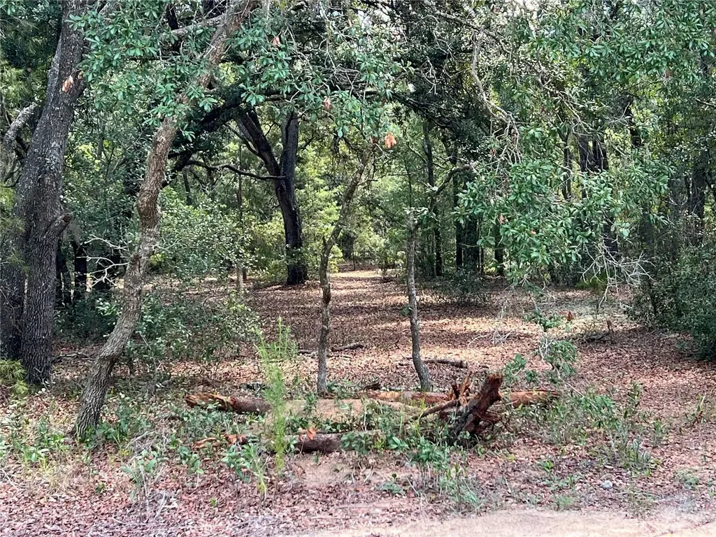 Lot 36 Blk1140 Fisher Way Trail Ocklawaha FL 32179