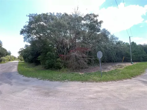 Lot 36 Blk1140 Fisher Way Trail Ocklawaha FL 32179