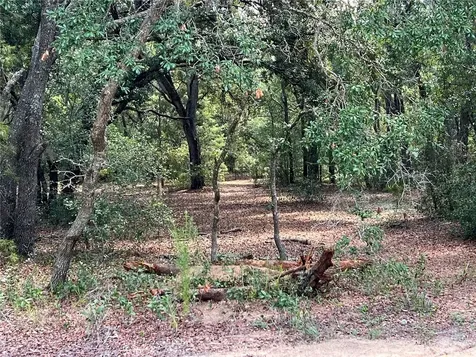 Lot 36 Blk1140 Fisher Way Trail Ocklawaha FL 32179