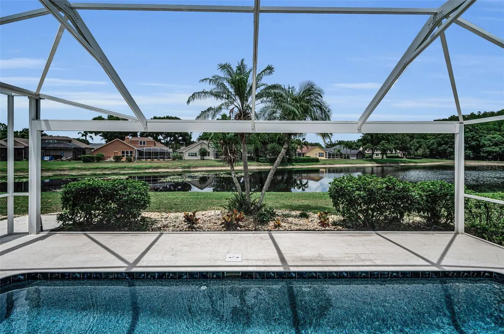 4084 Ligustrum Drive Palm Harbor FL 34685