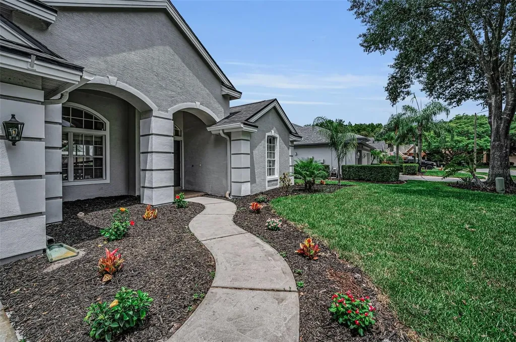4084 Ligustrum Drive Palm Harbor FL 34685