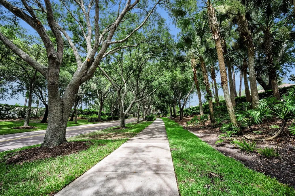 4084 Ligustrum Drive Palm Harbor FL 34685