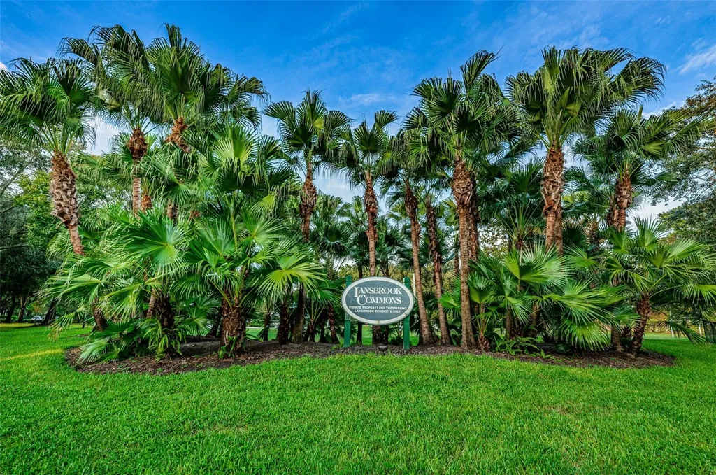 4084 Ligustrum Drive Palm Harbor FL 34685
