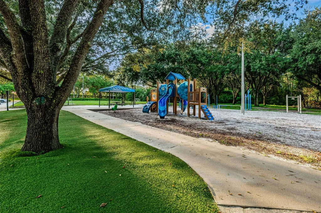 4084 Ligustrum Drive Palm Harbor FL 34685