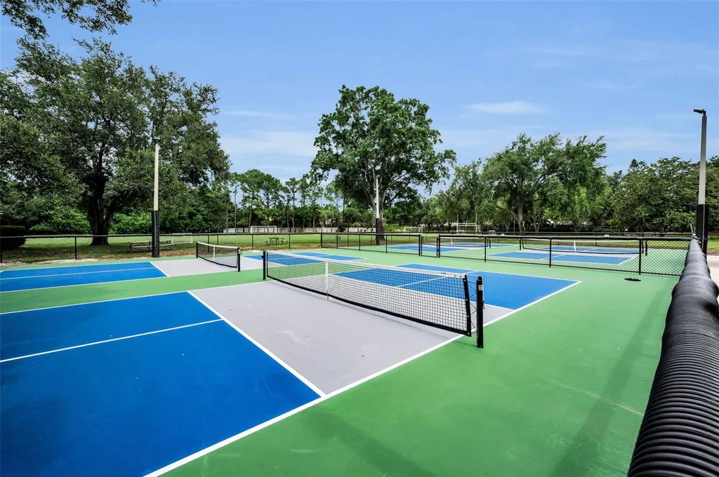 4084 Ligustrum Drive Palm Harbor FL 34685